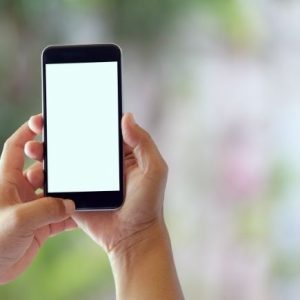 Public Mobile Review